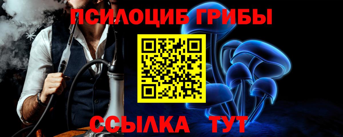 Псилоцибиновые грибы прущие грибы Кирово-Чепецк