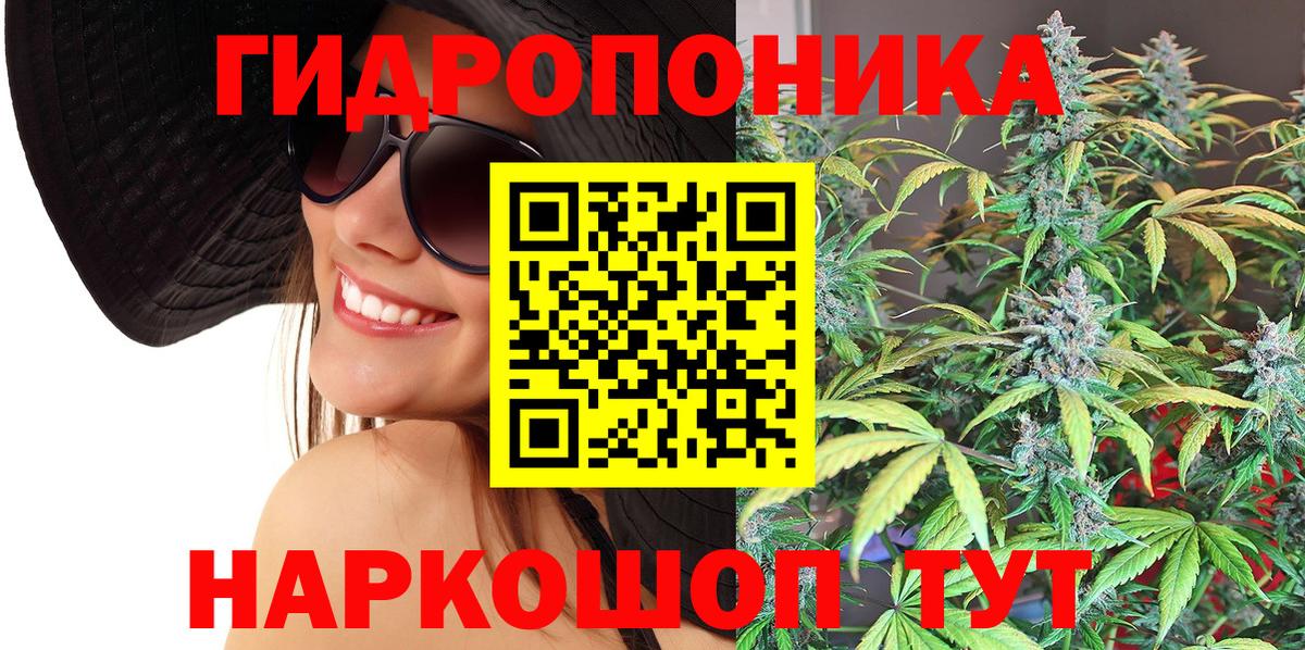 Каннабис планчик Кирово-Чепецк